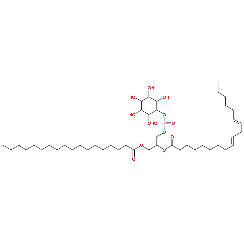 (1R)-2-[(hydroxy{[(2S,3R,5S,6S)-2,3,4,5,6-pentahydroxycyclohexyl]oxy}phosphoryl)oxy]-1-[(octadecanoyloxy)methyl]ethyl (9Z,12Z)-octadeca-9,12-dienoate