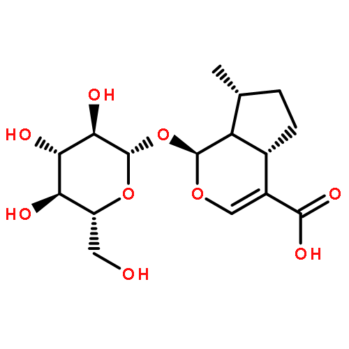 8-Epideoxyloganic acid