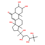 (2S,3R,5R,9R,10R,13R,17S)-2,3,14-trihydroxy-10,13-dimethyl-17-[(2R,3R,5S)-2,3,5,6-tetrahydroxy-6-methylheptan-2-yl]-1,2,3,4,5,9,10,11,12,13,14,15,16,17-tetradecahydro-6H-cyclopenta[a]phenanthren-6-one (non-preferred name)