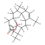 sarcophytonolide E