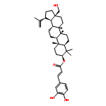 Betulin caffeate