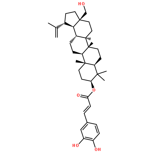 Betulin caffeate