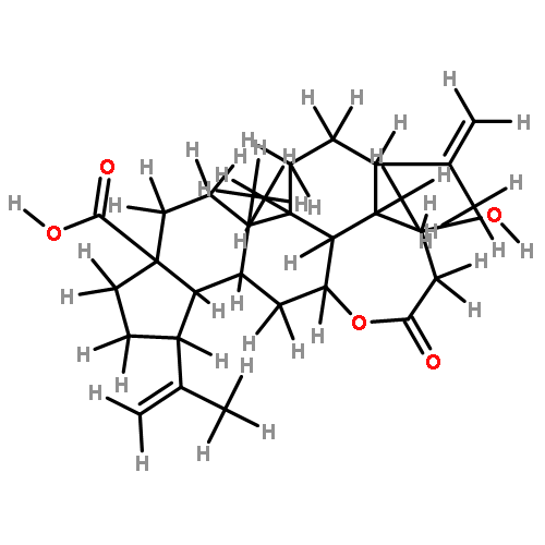 chiisanogenin