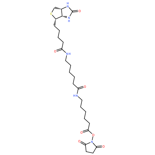 1H-Thieno[3,4-d]imidazole-4-pentanamide,N-[6-[[6-[(2,5-dioxo-1-pyrrolidinyl)oxy]-6-oxohexyl]amino]-6-oxohexyl]hexahydro-2-oxo-,(3aS,4S,6aR)-