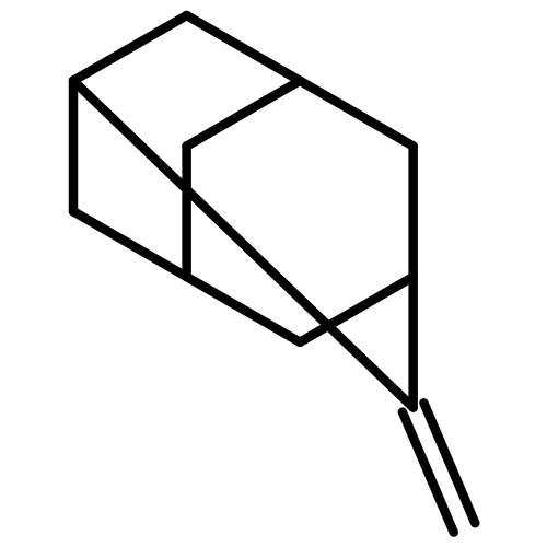 2-Methylideneadamantane