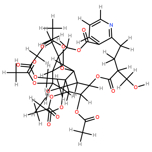 Alatusinine