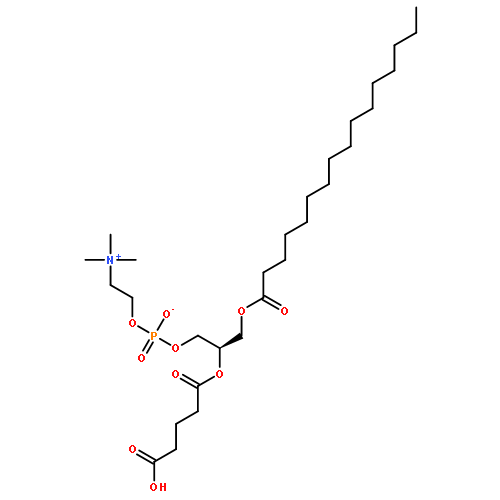 1-PALMITOYL-2-(4-CARBOXYBUTANOYL)-SN-GLYCERO-3-PHOSPHATIDYLCHOLINE