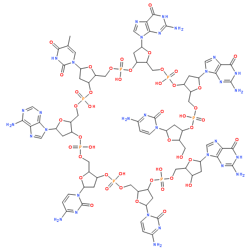 2'-deoxycytidylyl-(3'→5')-2'-deoxyguanylyl-(3'→5')-2'-deoxyguanylyl-(3'→5')-thymidylyl-(3'→5')-2'-deoxyadenylyl-(3'→5')-2'-deoxycytidylyl-(3'→5')-2'-deoxycytidylyl-(3'→5')-2'-deoxyguanosine