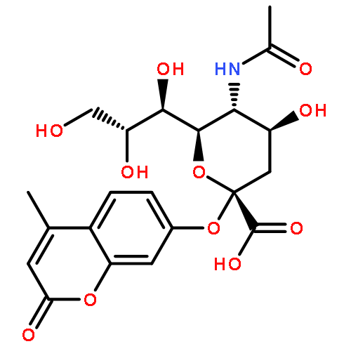 Neuraminidase