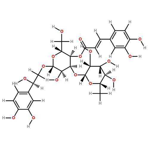 beta-3,4-trihydroxyphenethyl-O-alpha-L-rhamnopyranosyl-(13)-4-O-caffeoyl-beta-D-glucopyranoside