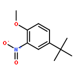 BENZENE, 4-(1,1-DIMETHYLETHYL)-1-METHOXY-2-NITRO-