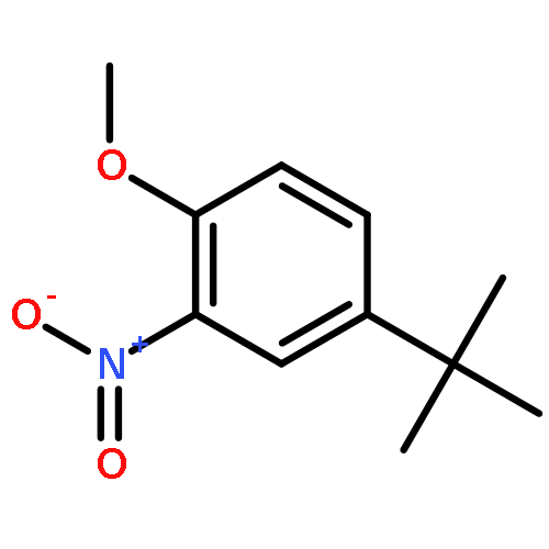 BENZENE, 4-(1,1-DIMETHYLETHYL)-1-METHOXY-2-NITRO-