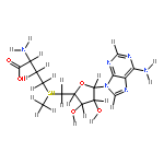 adenosin-5'-yl-((#S)-3-amino-3-carboxy-propyl)-methyl sulfonium-betaine