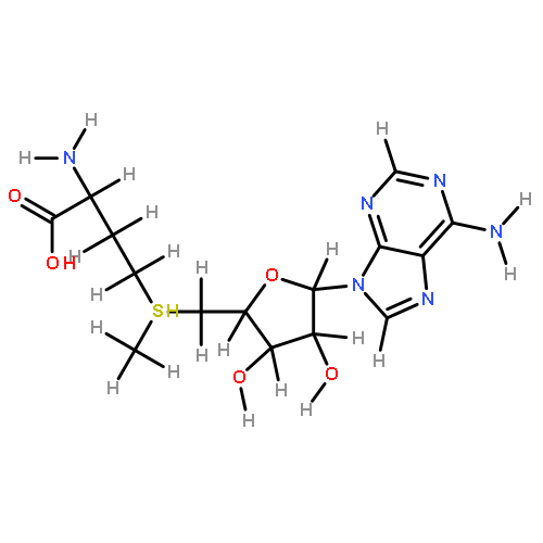 adenosin-5'-yl-((#S)-3-amino-3-carboxy-propyl)-methyl sulfonium-betaine