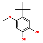 4-tert-butyl-5-methoxybenzene-1,2-diol