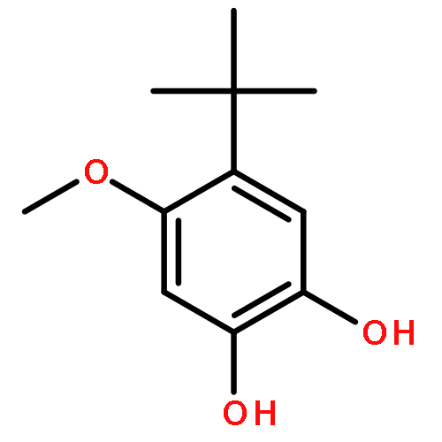 4-tert-butyl-5-methoxybenzene-1,2-diol