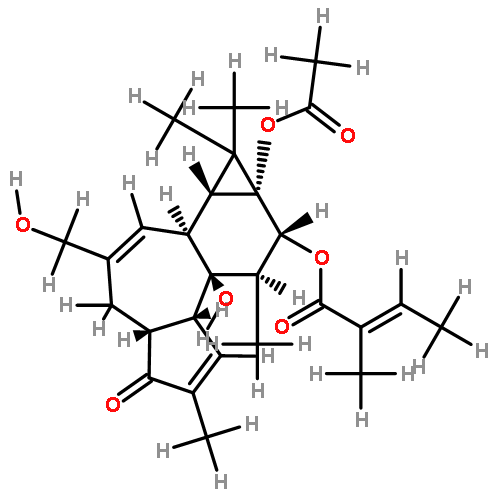 12-O-tiglyl-4-deoxy-4alpha-phorbol-13-acetate