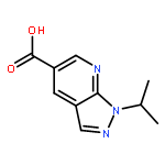 1-isopropyl-1H-pyrazolo[3,4-b]pyridine-5-carboxylic acid