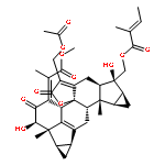 Chlorahololide D