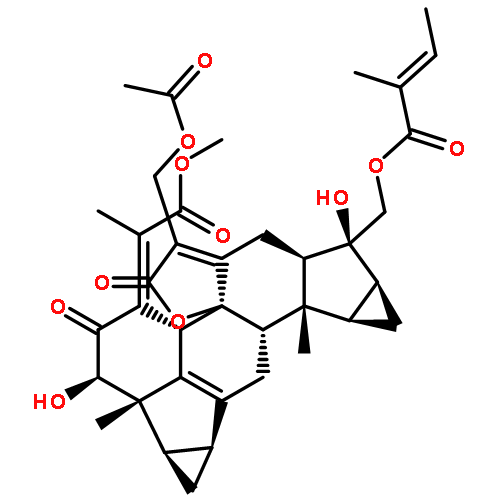 Chlorahololide D