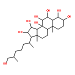 5alpha-cholestane-3beta,4beta,6alpha,7alpha,8,15alpha,16beta,26-octol