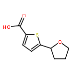 5-(Tetrahydrofuran-2-yl)thiophene-2-carboxylic acid