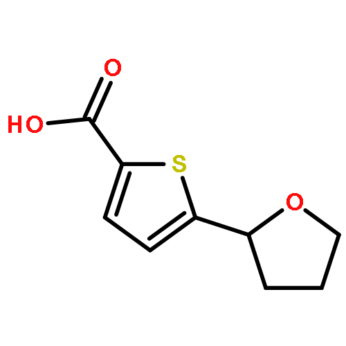 5-(Tetrahydrofuran-2-yl)thiophene-2-carboxylic acid