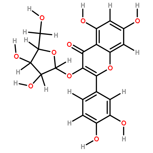 avicularin