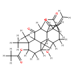 Xindongnin A