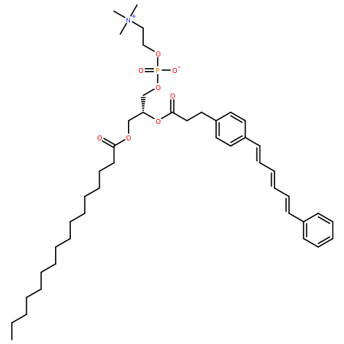 1-palmitoyl-2-((2-(4-(6-phenyl-1,3,4-hexatrienyl)phenyl)ethyl)carbonyl)-3-phosphatidylcholine