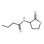 Butanamide,N-(tetrahydro-2-oxo-3-furanyl)-