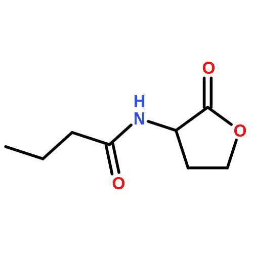 Butanamide,N-(tetrahydro-2-oxo-3-furanyl)-