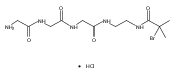 Glycinamide, glycylglycyl-N-[2-[(2-bromo-2-methyl-1-oxopropyl)amino]ethyl]-, hydrochloride (1:1)