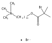 1-Undecanaminium, 11-(2-bromo-2-methyl-1-oxopropoxy)-N,N,N-trimethyl-, bromide (1:1)